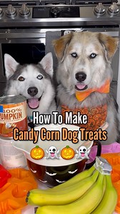 236K views · 4.7K reactions | Champ and Tyson make spooktacular candy corn treats.  #halloween #dogs #dogtreats #huskies #goldenretrievers | The Half Husky Bros | Facebook