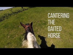 Tip #3 - Cantering the Gaited Horse