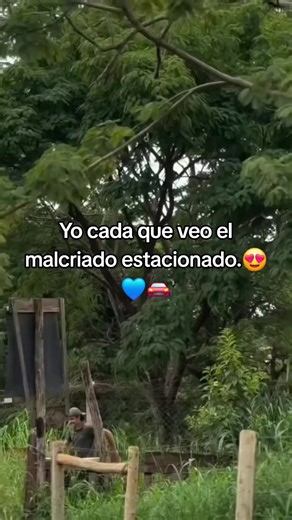 Ford Fusion: My Favorite Car to Spot!