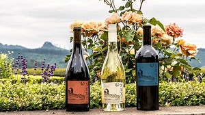 Drink Up: Amazon Launches a New Brand of Wine