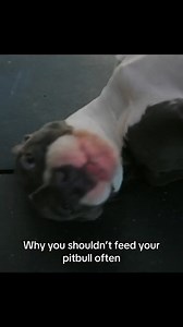 19K views · 387 reactions | Training bane to be feral #gym | Tren Twins | Facebook