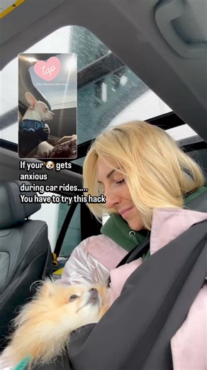The Snuggit Pet Carrier on Instagram: "Watch @thetinybruin go from scared to safe in real time👇 PS you can tap on the video overlaid on this real to watch our friend Bru go from having high anxiety during car rides to feeling safe and secure🐶❤️ Have you tried using your Snuggit for your dog during car ride rides? Its like an anti-anxiety hug from your mom🥹❤️ What do car rides look like for you & your 🐶? We’d love to hear what your experiences have been like👇"
