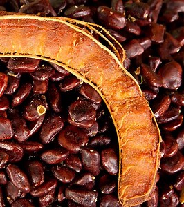 14 Best Benefits & Uses Of Tamarind Seeds For Skin, Hair, & Health