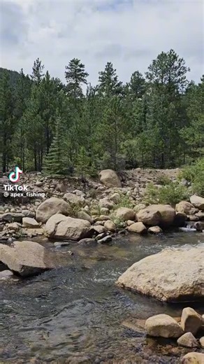 D. McLeod (@dougmcleod1993)’s videos with original sound - D. McLeod