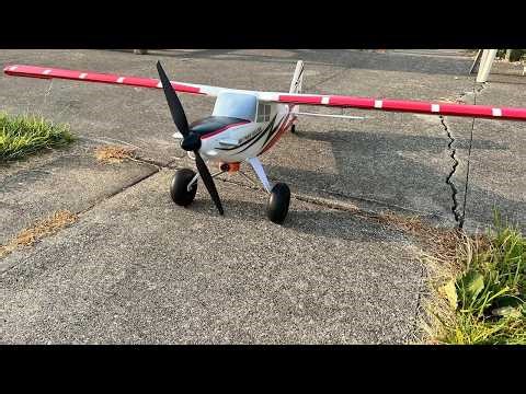E-Flite Turbo Timber Evolution - 5 years and she's still my goto plane.