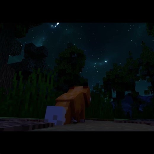 Animation / Day 10 #minecraft #animation