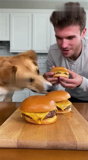 Kitchen Cam: Dog vs Owner Burger Eating Contest Gets Out of Control