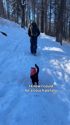 Luna | The black adventure cat on Instagram: "A family passion 🏔️🐈‍⬛😹nom noms with a view #adventurecat #cats #outdoors #travelwithcats"