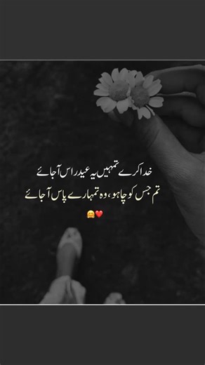 Hoorain writers (@halalwords)’s videos with original sound - بیآ 💕