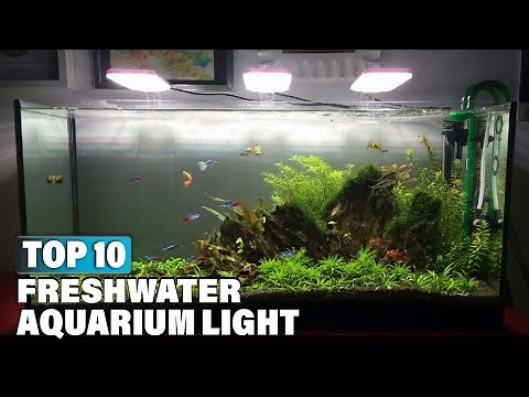 Best Freshwater Aquarium Light in 2025 (Top 10 Picks)