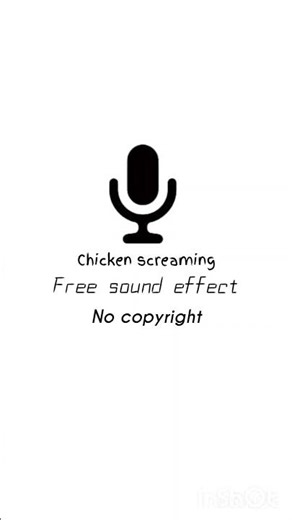 chicken screaming free sound effect no copyright© ™
