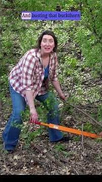 Woodbury's Native Plant Tool Shed