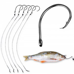 Circle Hooks Pike Deadbait  Rigs – 5 Predator Traces for Pike & Zander - UK PIKE  | eBay UK