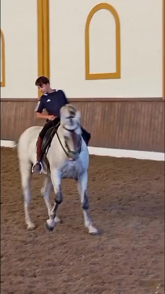 Videos de curro_quinta (@curro_quinta) con “sonido original - valentina”