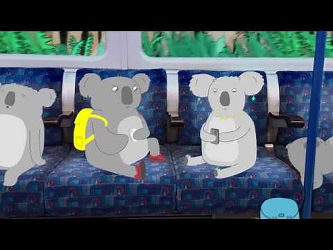 Koalas talk Chlamydia