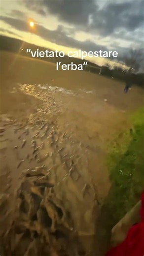 POV: it's not a POV 🤣😂😁 #shortsfeed #shortsvideo #shorts #feed #funny #meme #top99tv #perte #fyp