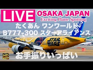 🔴 LIVE OSAKA ITAMI Airport 2025/4/20 大阪伊丹空港 ライブカメラ