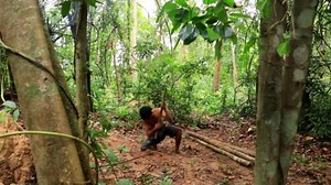 How We Built a Forest House with Groundwater, Pool & Gym by Hand