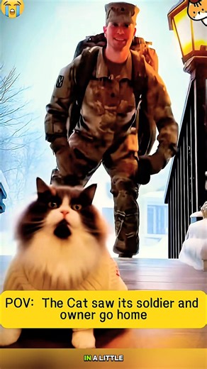 ❌Training dog #cats #gsds #trending #puppy #pets #smartdog