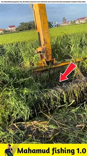 What fish did he catch with an electric meter?🐟#viralvideo #facts #fishinggear #fishinglife #fish