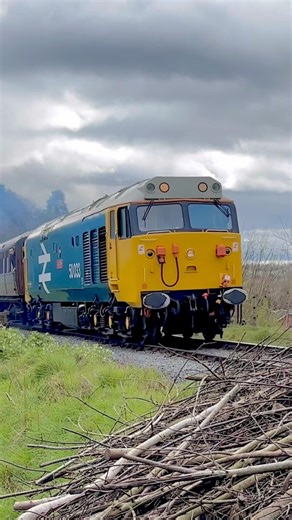 50 033 ‘Glorious’ on the Severn Valley Railway