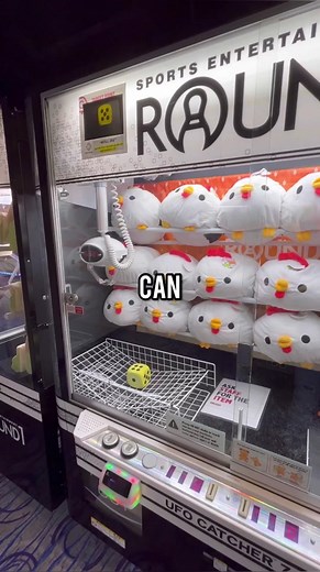 Giant Chicken Claw Machine Win! 🐔 #arcadewarrior #arcade #clawmachine #cranegame #fyp