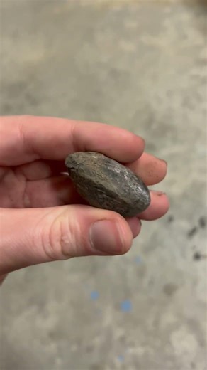 Carboniferous fossil concretion