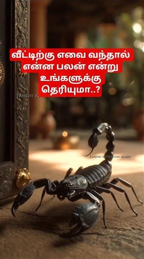 வீட்டிற்கு எந்த விலங்கு வந்தா என்ன அர்த்தம்? | Animal Signs Tamil | Spiritual Beliefs Explained"