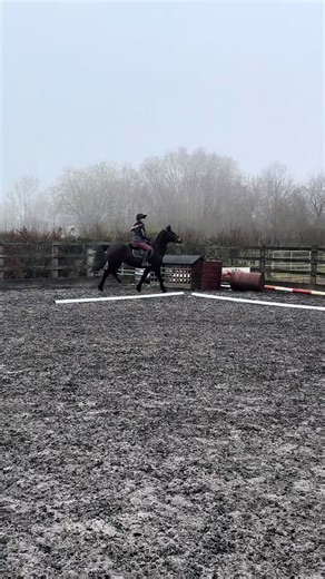 Jumping Pony Course Experience