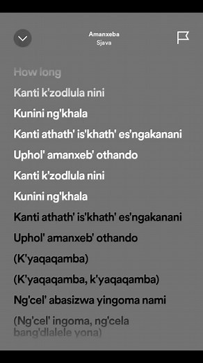 Sjava Amanxeba Lyrics Video