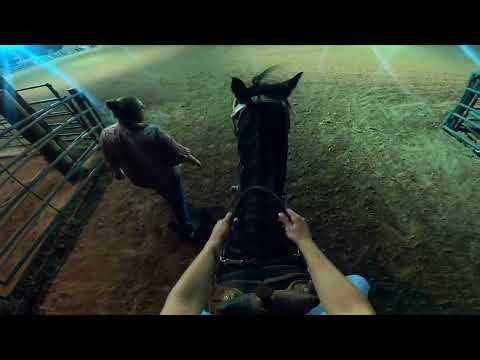 GoPro Barrel Race Action Video Horse Trips Mid-Run