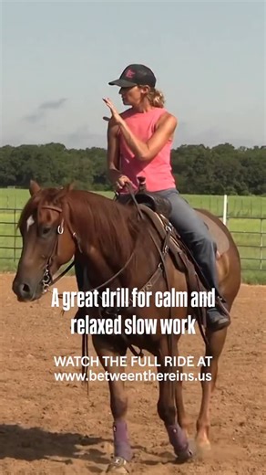 Get a deeper explanation and watch the full ride on the platform with Ashley and Bucket! www.betweenthereins.us #betweenthereins #barrelracing #horsetraining | Between The Reins