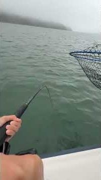 POV: The Fish You Caught Is Bigger Than Your Entire Personality 😭🎣🐟