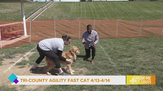 Tri-County Agility Club to host weekend long Fast CAT for dogs