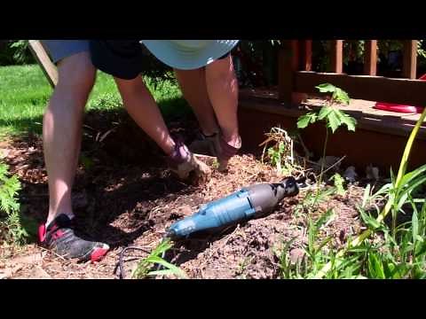 17 bushes and stumps removed, roots and all, with a floor jack