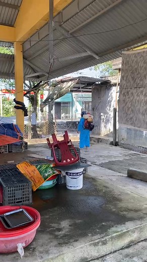 Cau Nguyen Anh on Reels