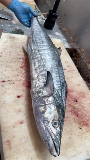 Surmai King Mackerel Fish Cutting Skills#shorts