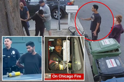‘Chicago Fire’ actor Brian J. White, neighbors sprang into action to take down illegal immigrant with ‘flamethrower’ near LA fires