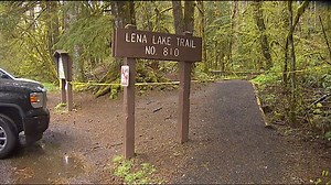 2 women killed by falling tree while hiking in Olympic National Forest