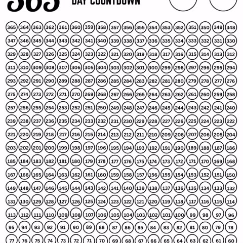 365 Day Countdown Printable, Elegant 365 Days Planner Tracker Daily, Vacations, Birthdays, Events, 365 Day Wall Calendar, Instant Download - Etsy