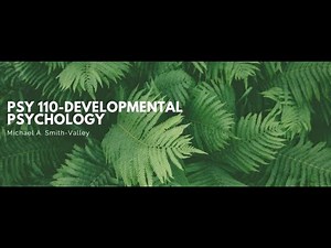 Psy. 110-Developmental Psychology-RN/Valley College