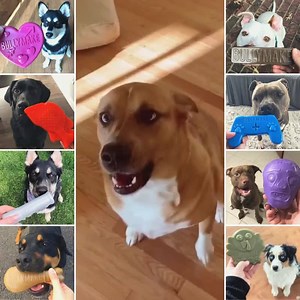 NEW YEAR, NEW TOUGH TOYS. 🔥 We create and ship the toughest, USA made dog toys and treats straight to your door. Nothing destroyed or we replace it for FREE, that's our BULLYMAKE guarantee. Join TODAY and save 15% instantly on any plan using code FB15 at checkout! | BULLYMAKE