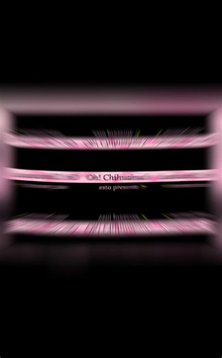 Oh! chihuahua’s on TikTok