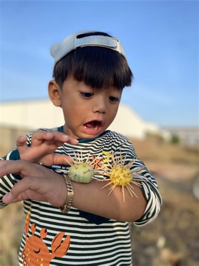 Kids Adventure with Toy Cars and Spiderman