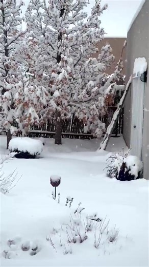 Video from Kevin Schaffer of the heavy snow falling in his yard this morning in Santa Fe! | Meteorologist Grant Tosterud