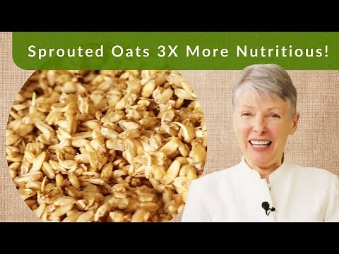 Sprouted Oats vs Regular Oats: The Shocking Difference
