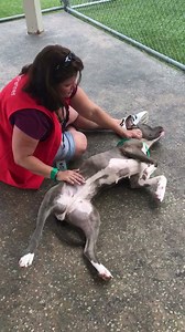 2.2K views · 15 reactions | We have fallen head over heels for this...