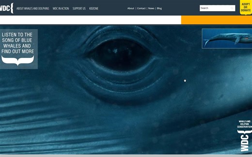 体验深海恐惧 蓝鲸的真实尺度