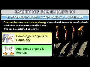 Evolution | Part 2 - Evidences for evolution 1