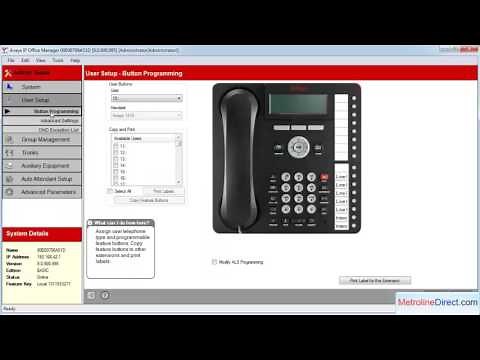 Avaya IP Office - How to Print DESI Labels in Basic Mode